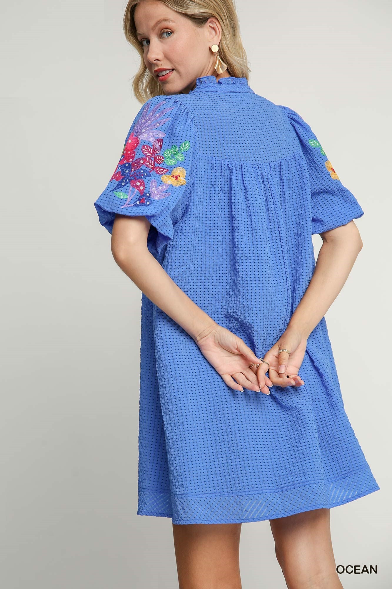 Embroidery Sleeve Dress