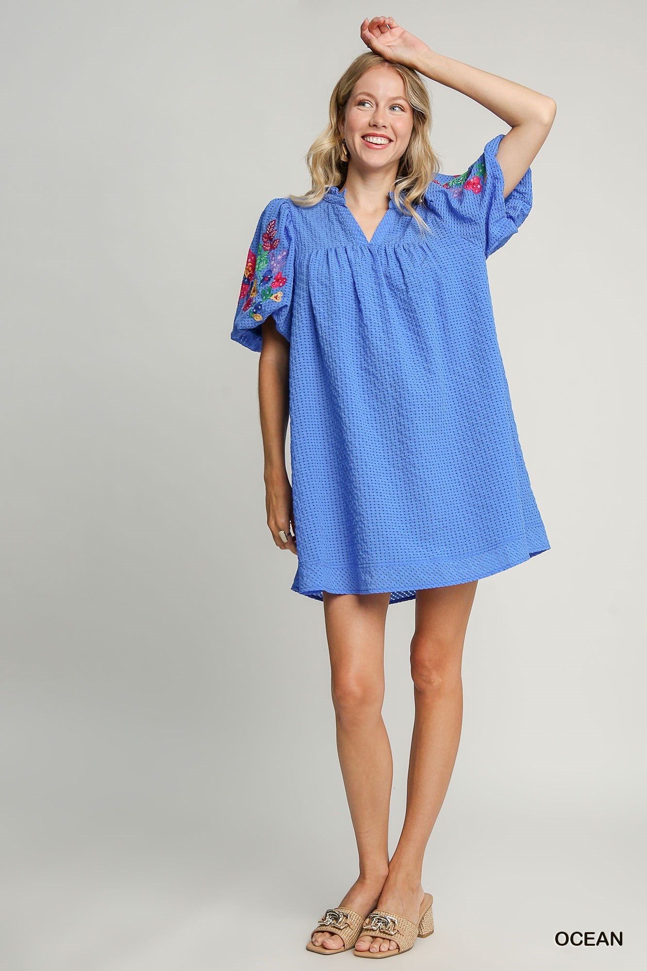 Embroidery Sleeve Dress